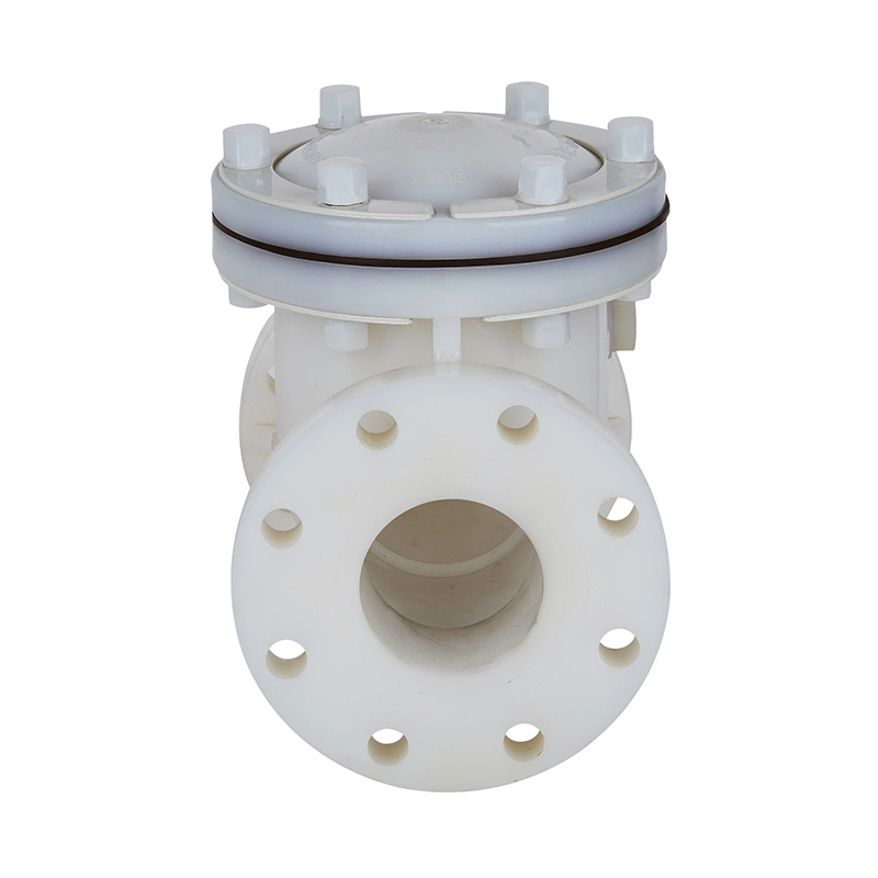 PVDF H44F-10F เช็ควาล์วชนิดพิเศษวิง DN15-300 1/2 '-12' มาตรฐาน ANSI
