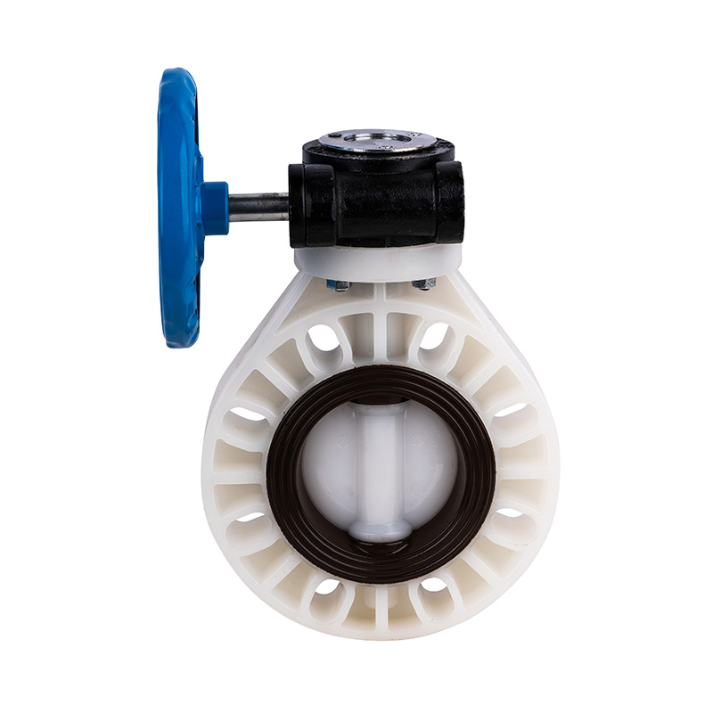 PVDF D371X-10F ประตูปีกผีเสื้อเกียร์หนอน DN40-1000 40A-1000A มาตรฐาน JIS