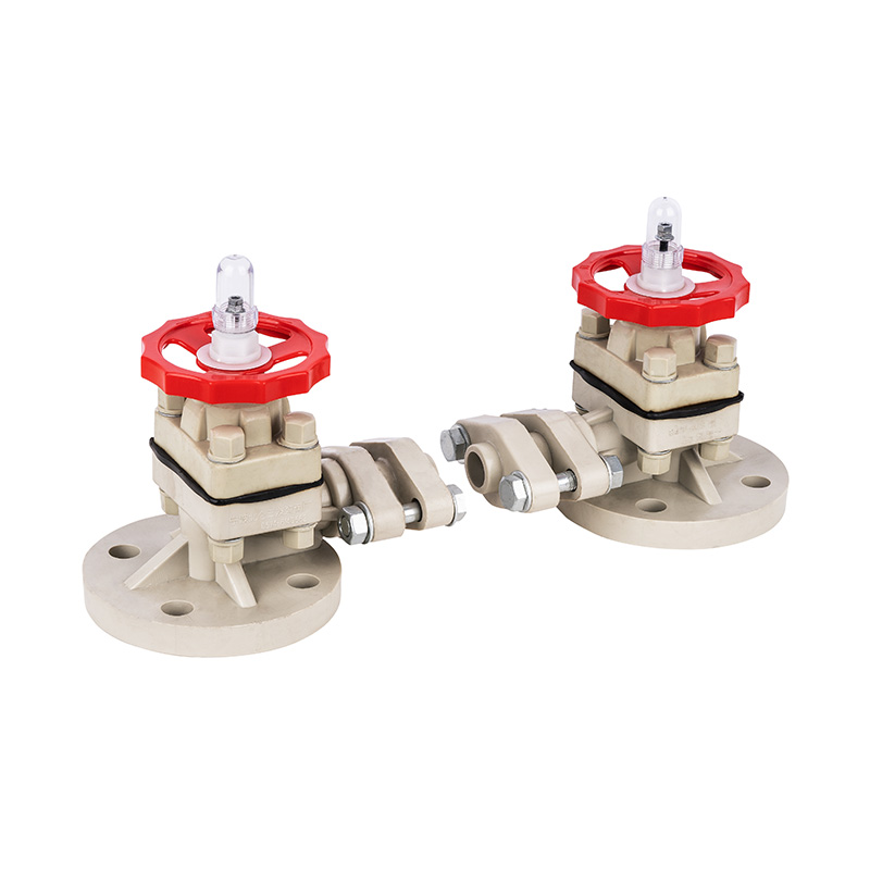 PPH G41F-10S คนที่แสดงระดับ DN15-50 GB Standard